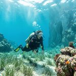 Une femme plongeuse explore les eaux méditerranéennes limpides de Cassis au-dessus d’herbiers, de récifs rocheux colorés et d’une paroi calcaire plus profonde.